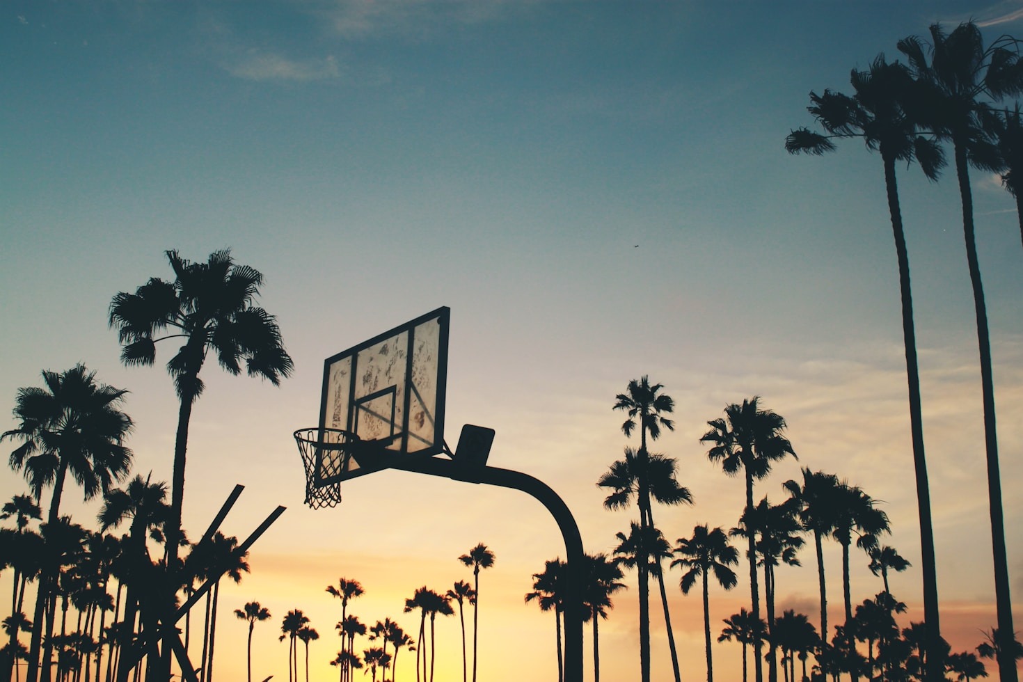 Perché scegliere il Rivoli Basket