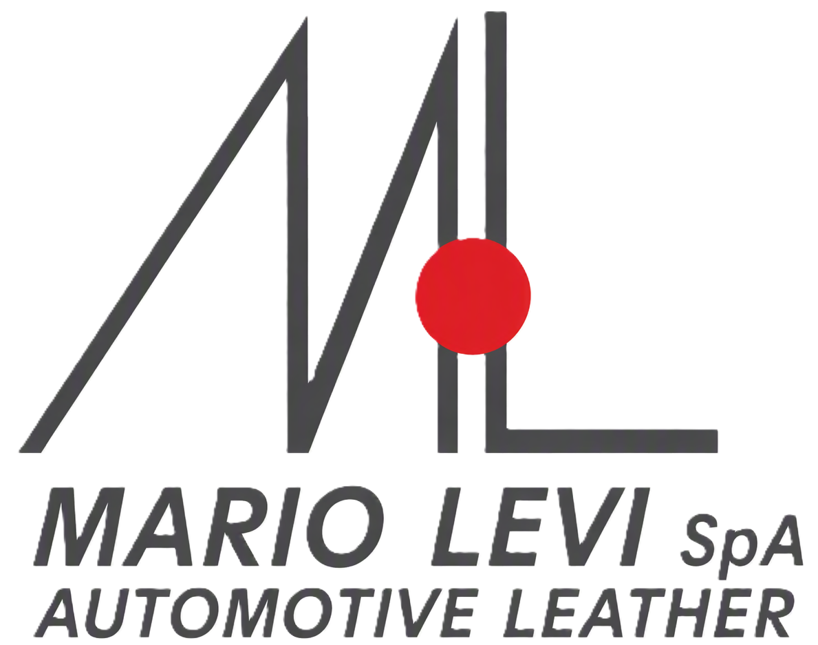 Sponsor - Mario Levi Trasparente